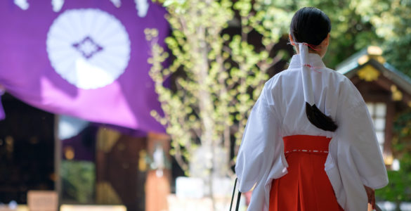 Young Miko at a Shinto shrine in Tokyo on a clear morning in Spring. A Miko is a shrine maiden or a supplementary priestess trained to perform sacred tasks in Japan.