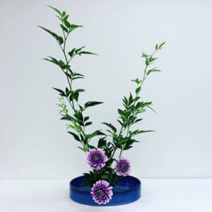 Ikebana, Moribana Upright style