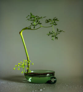 Flower arrangement with a minimum number of plants in a shallow base. Ikebana.