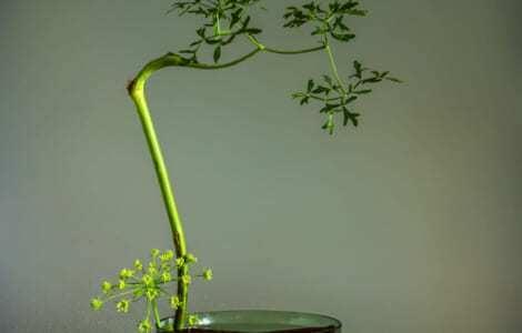 Flower arrangement with a minimum number of plants in a shallow base. Ikebana.