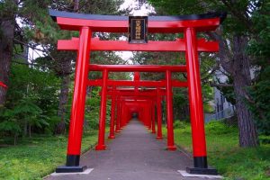 Torii Gate of Fushimi Inari Shrine in Sapporo, Hokkaido