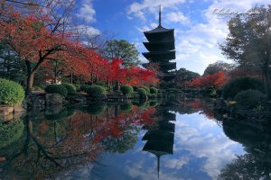 The Five-storied Pagoda of To-ji Temple in Kyoto