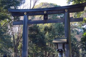 chrysanthemum crest on the torii gate at Meiji Jingu Shrine